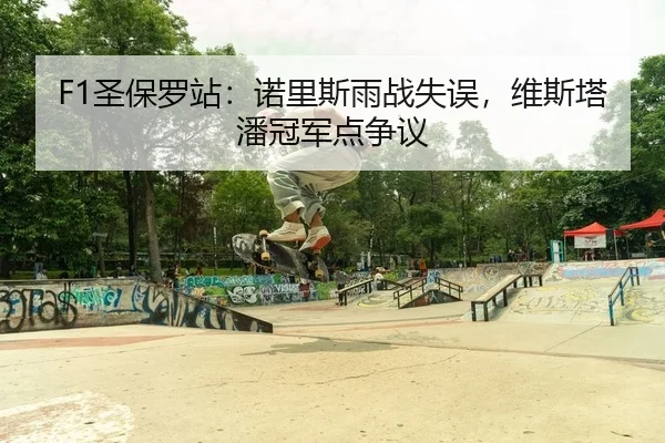 F1圣保罗站：诺里斯雨战失误，维斯塔潘冠军点争议